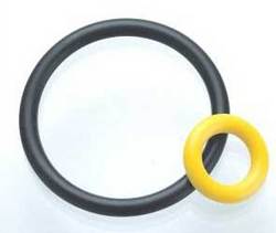 Hydraulic O Ring Seal Manufacturer Supplier Wholesale Exporter Importer Buyer Trader Retailer in TARAORI  India